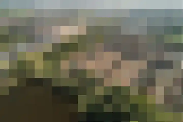 Ieplaan 137 Waddinxveen thumbnail 56