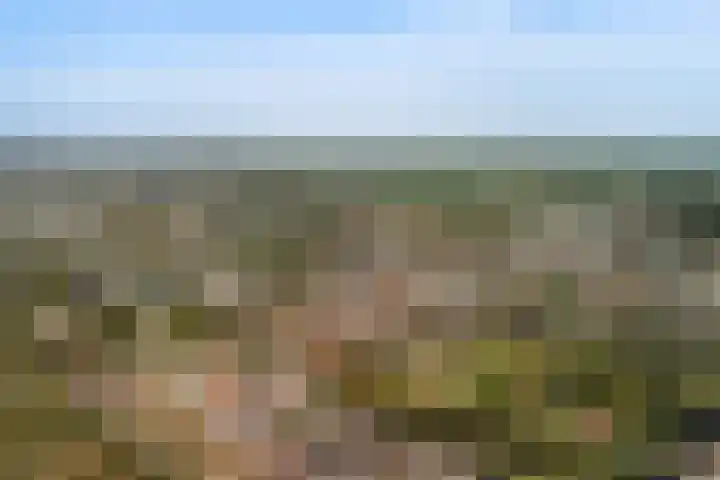 Ieplaan 137 Waddinxveen thumbnail 58