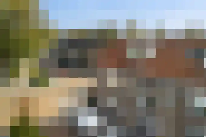 Ieplaan 137 Waddinxveen thumbnail 6