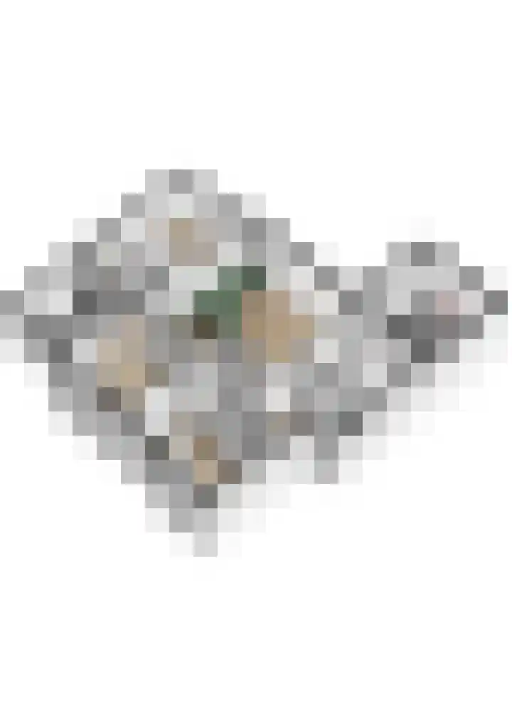 Ieplaan 137 Waddinxveen thumbnail 61
