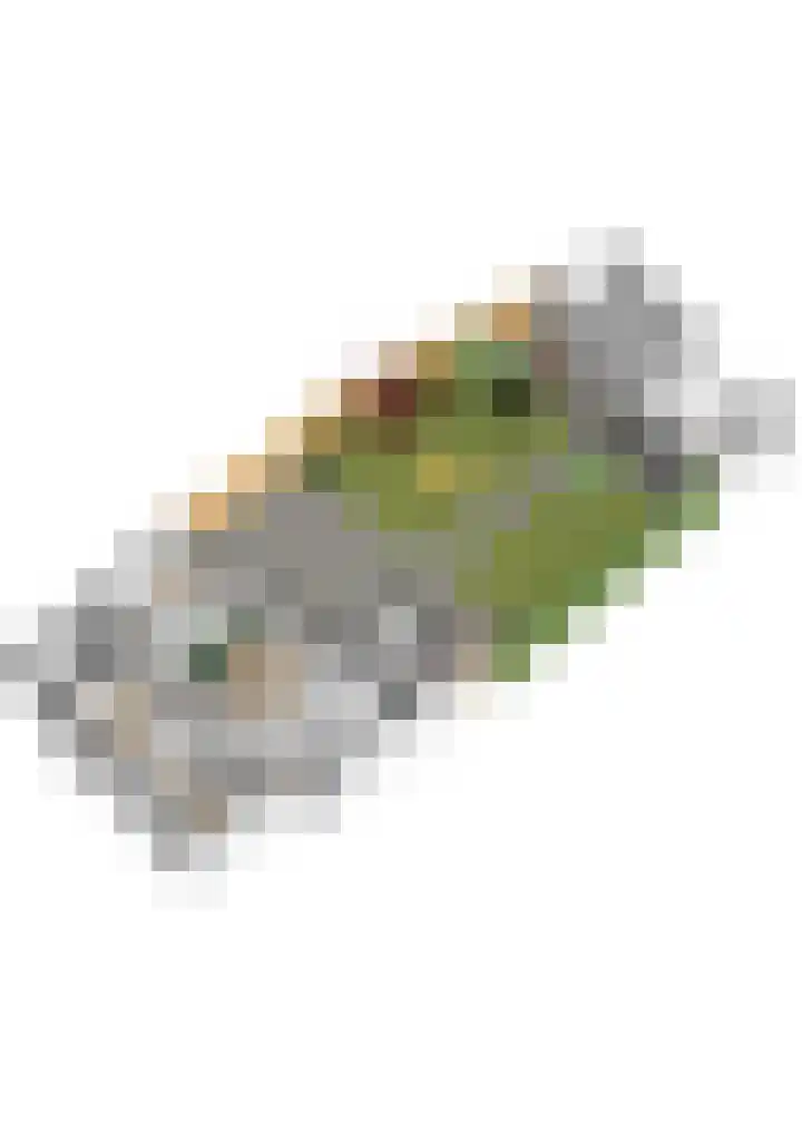 Ieplaan 137 Waddinxveen thumbnail 62
