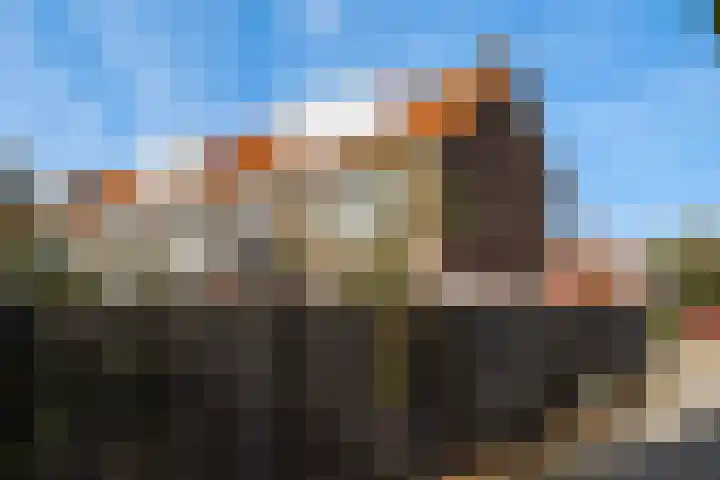 Ieplaan 137 Waddinxveen thumbnail 7