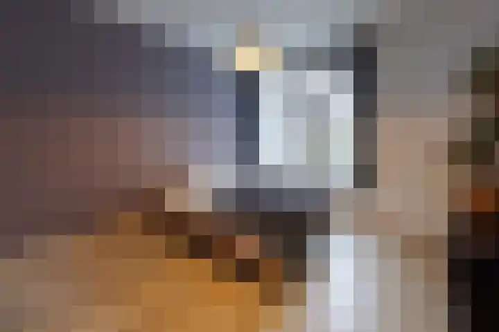 Ieplaan 143 Rijswijk thumbnail 11