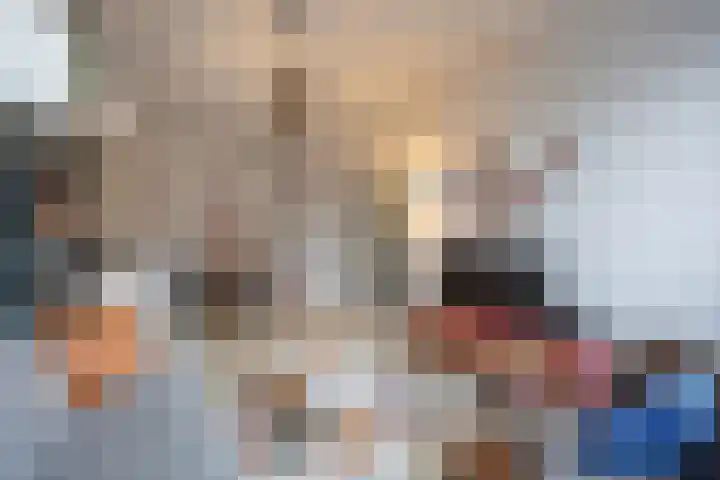Ieplaan 143 Rijswijk thumbnail 7