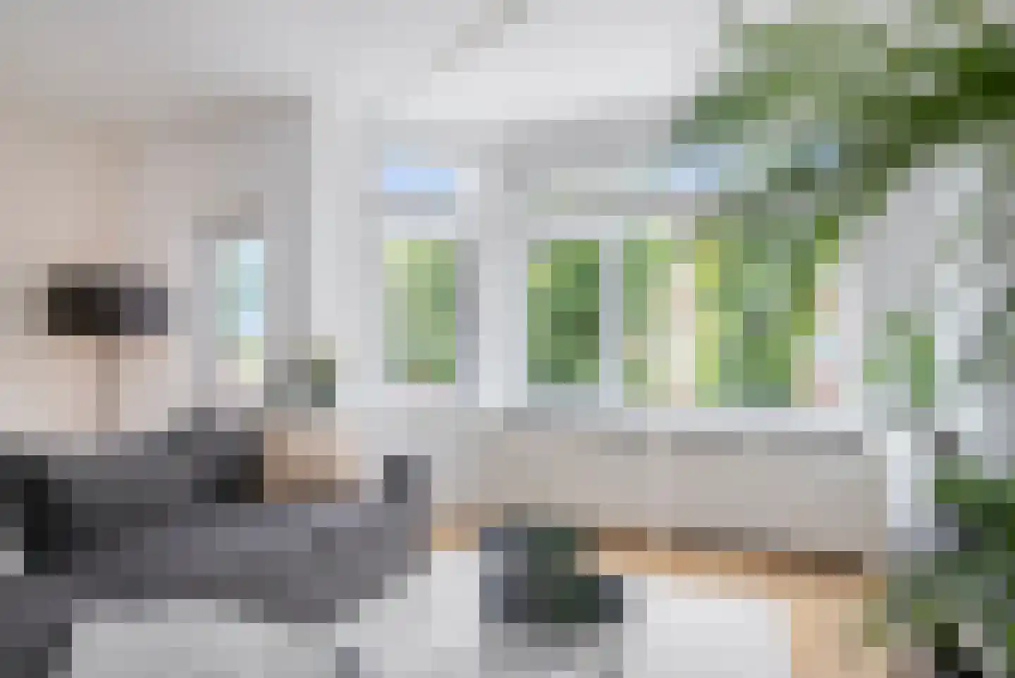 Ieplaan 149 Rijswijk thumbnail 15