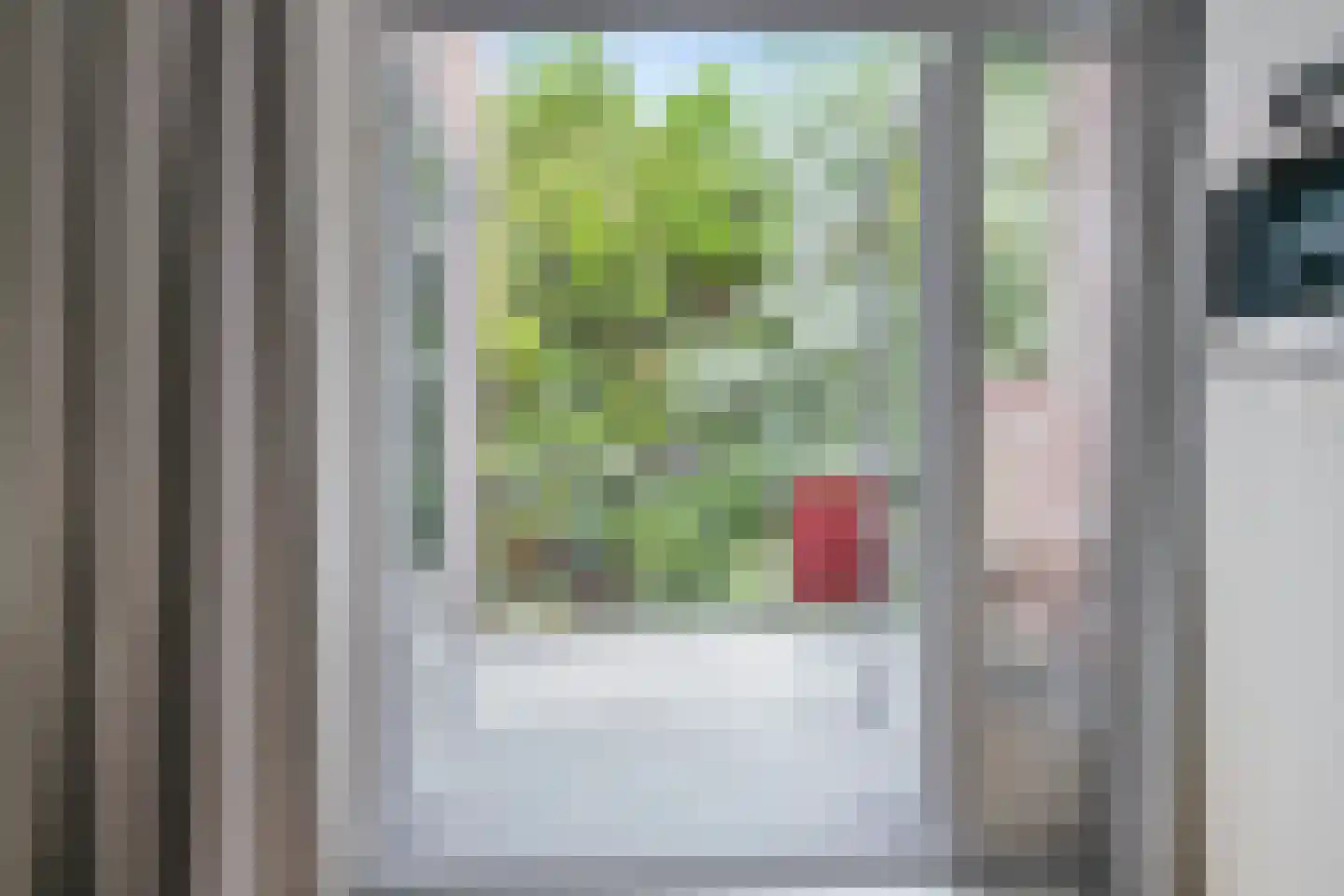 Ieplaan 149 Rijswijk thumbnail 23