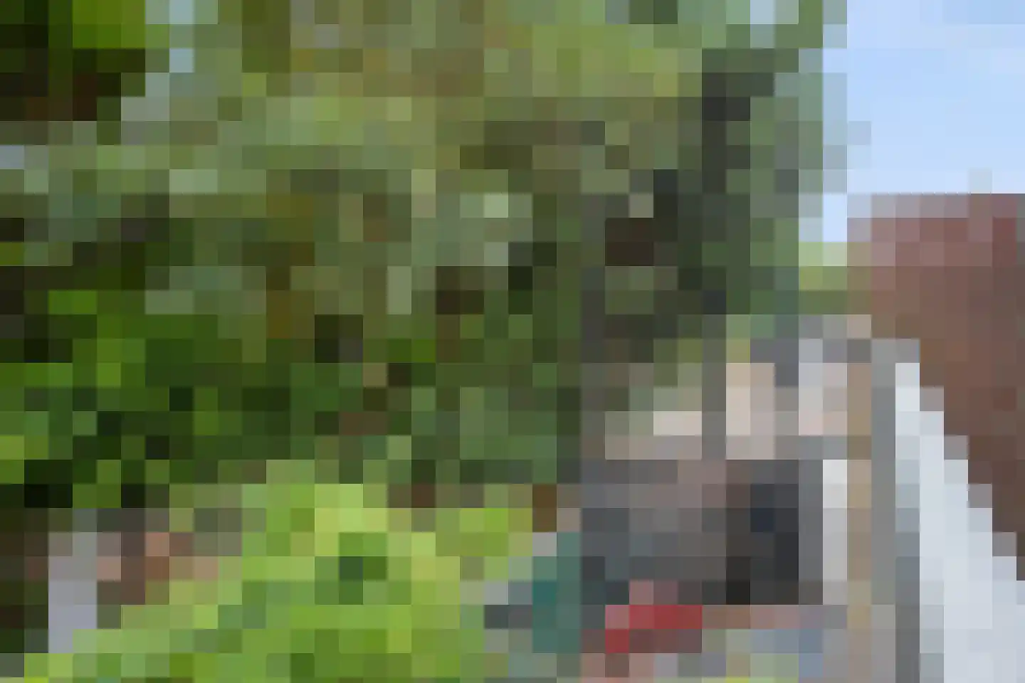 Ieplaan 149 Rijswijk thumbnail 42