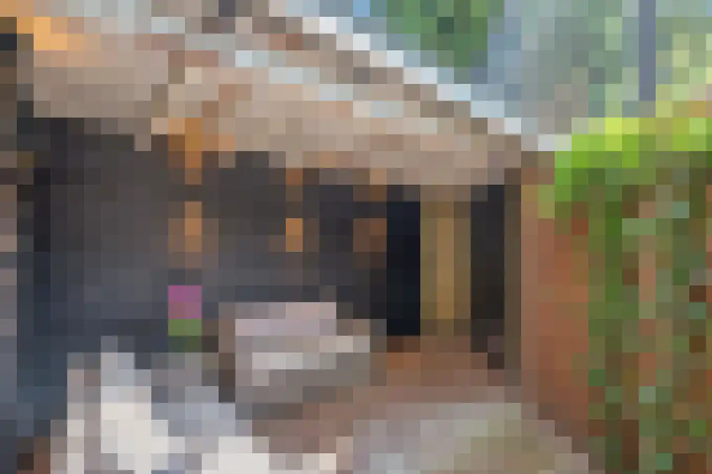 Ieplaan 159 Rijswijk thumbnail 25
