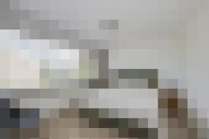 Ieplaan 18 Leimuiden thumbnail 21