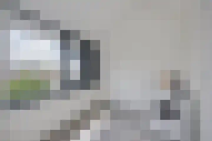 Ieplaan 18 Leimuiden thumbnail 25