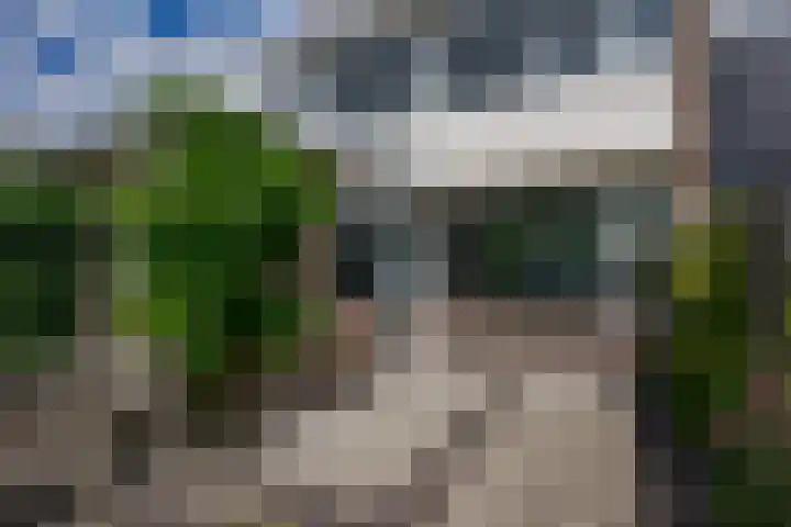 Ieplaan 18 Leimuiden thumbnail 29