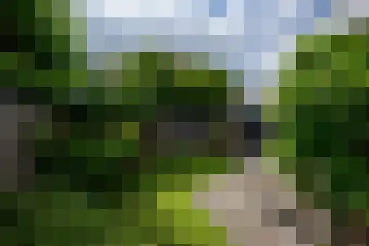 Ieplaan 18 Leimuiden thumbnail 31