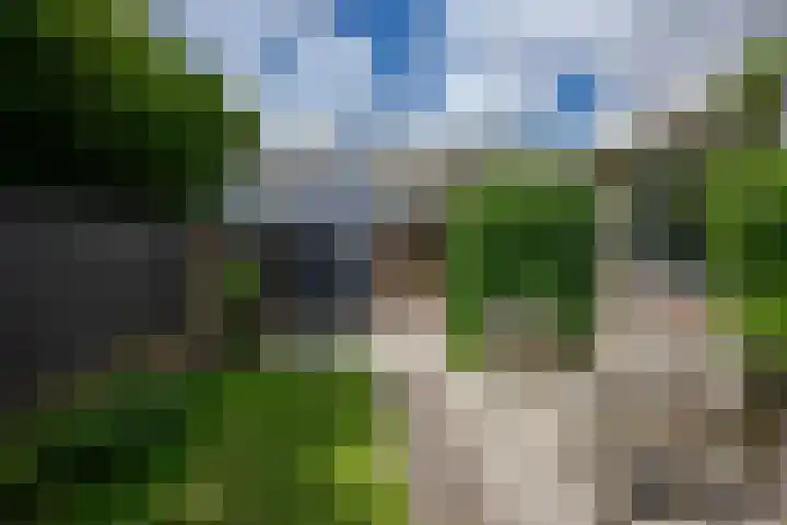 Ieplaan 18 Leimuiden thumbnail 32