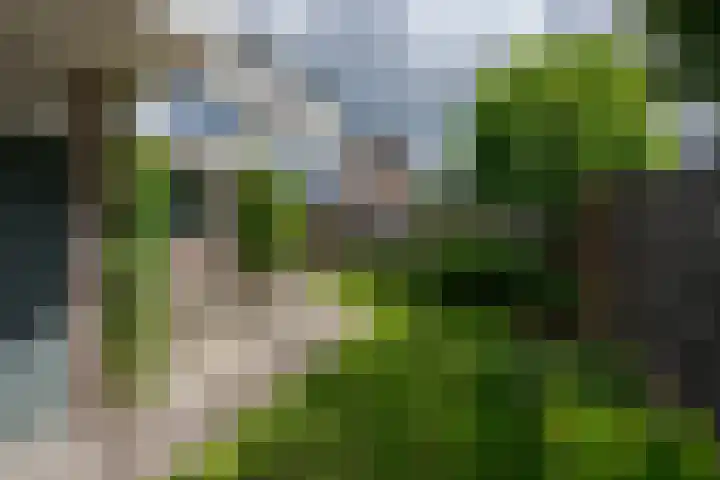 Ieplaan 18 Leimuiden thumbnail 33