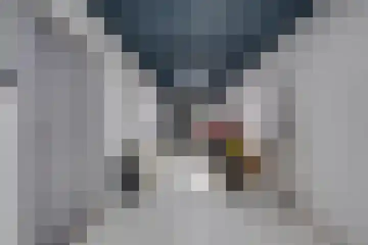 Ieplaan 18 Leimuiden thumbnail 34