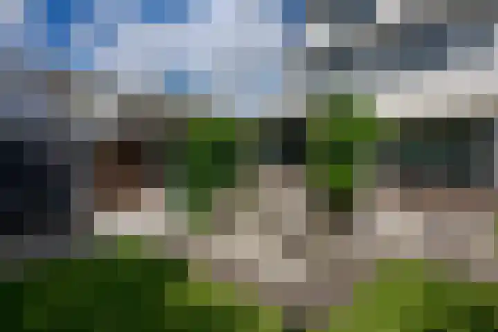 Ieplaan 18 Leimuiden thumbnail 4