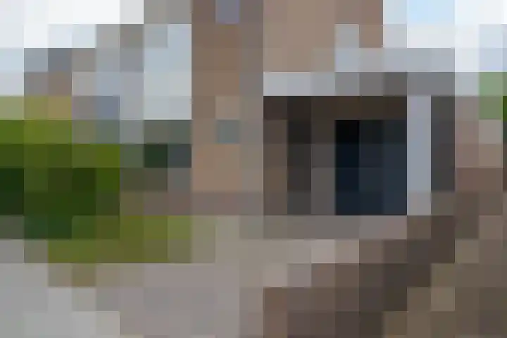 Ieplaan 18 Leimuiden thumbnail 5