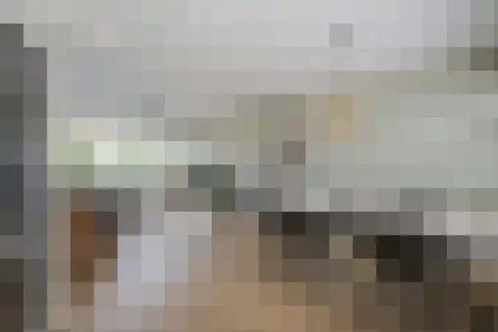 Ieplaan 18 Leimuiden thumbnail 7