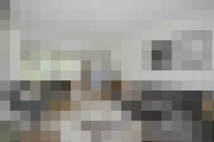 Ieplaan 18 Leimuiden thumbnail 9