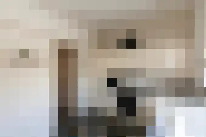 Ieplaan 21 Alblasserdam thumbnail 10