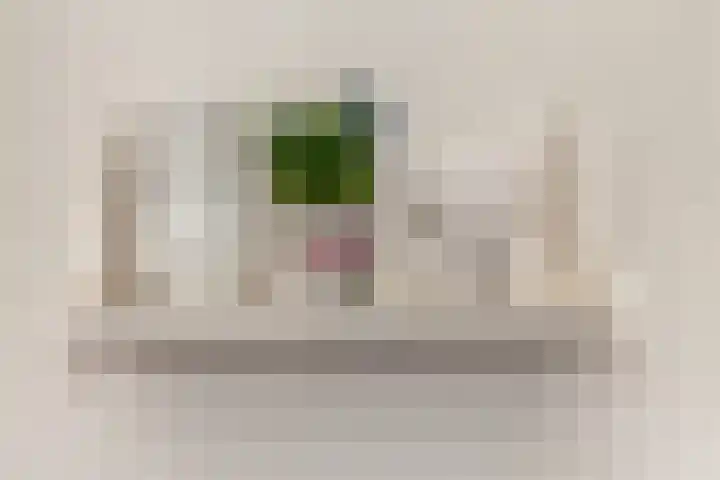 Ieplaan 21 Alblasserdam thumbnail 11