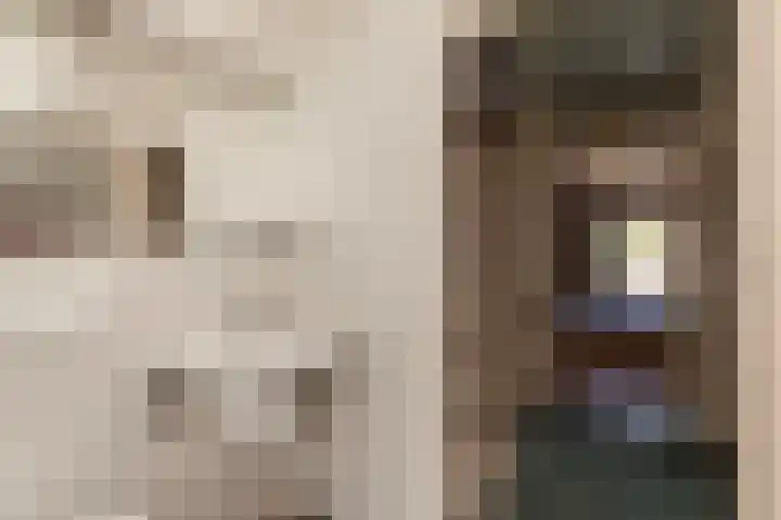 Ieplaan 21 Alblasserdam thumbnail 24