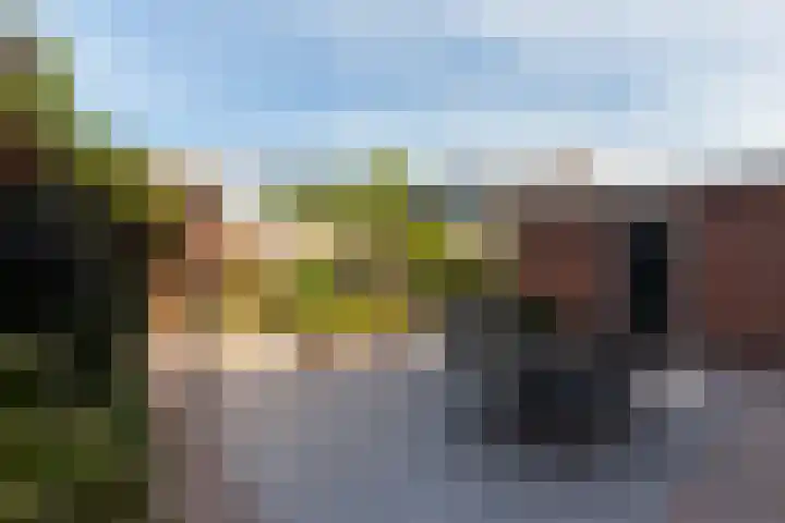 Ieplaan 21 Alblasserdam thumbnail 32