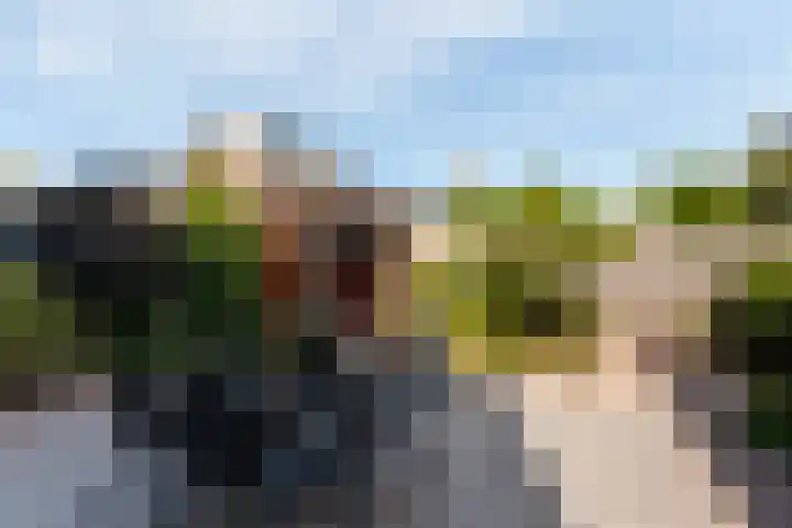Ieplaan 21 Alblasserdam thumbnail 33