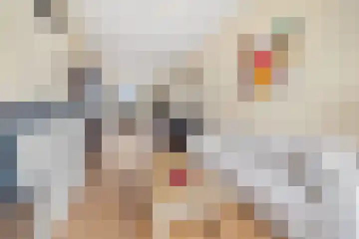Ieplaan 21 Rijswijk thumbnail 8