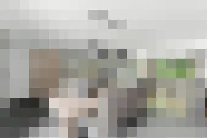 Ieplaan 27 Alblasserdam thumbnail 11
