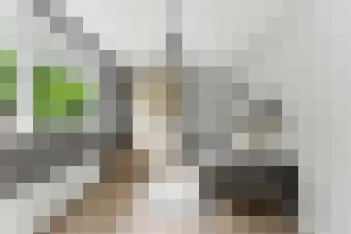 Ieplaan 27 Alblasserdam thumbnail 21