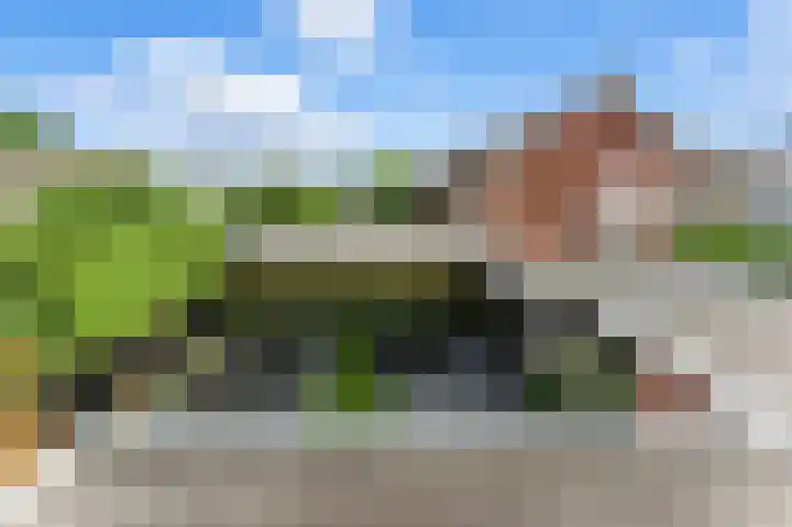 Ieplaan 27 Alblasserdam thumbnail 26