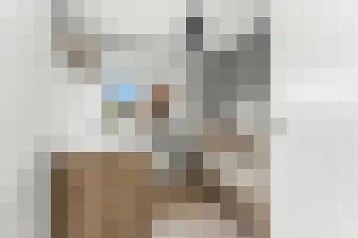 Ieplaan 27 Alblasserdam thumbnail 27