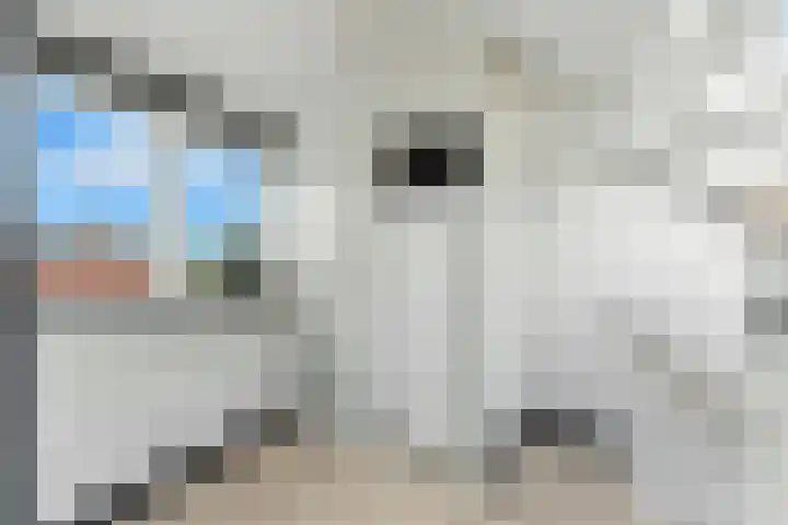 Ieplaan 27 Alblasserdam thumbnail 32