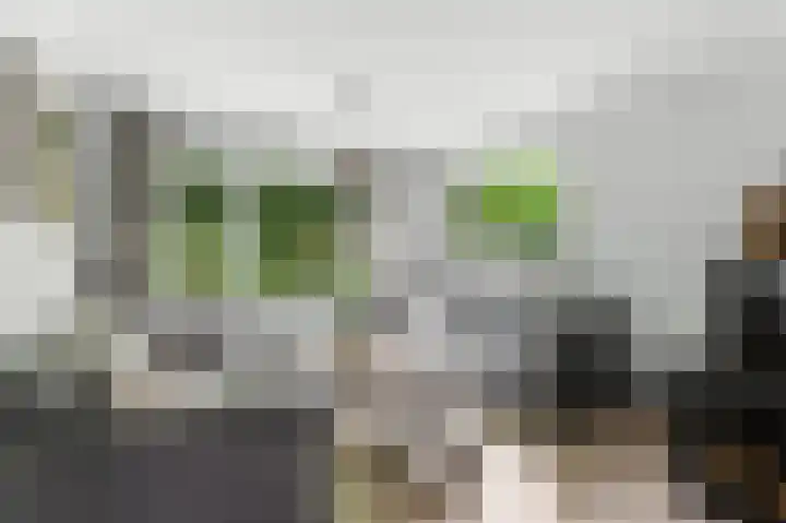 Ieplaan 27 Alblasserdam thumbnail 4