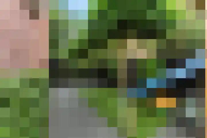 Ieplaan 27 Alblasserdam thumbnail 42
