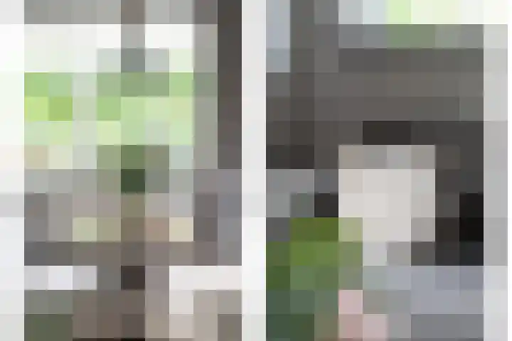 Ieplaan 27 Alblasserdam thumbnail 5