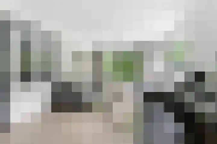 Ieplaan 27 Alblasserdam thumbnail 6