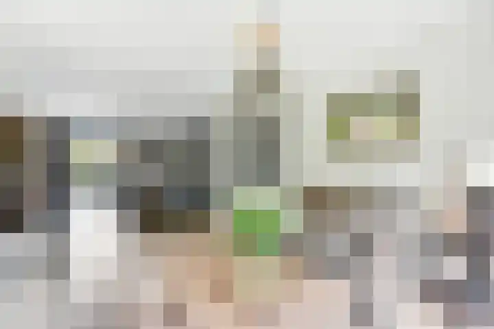 Ieplaan 27 Alblasserdam thumbnail 7