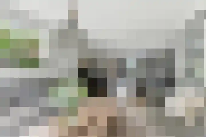 Ieplaan 27 Alblasserdam thumbnail 8