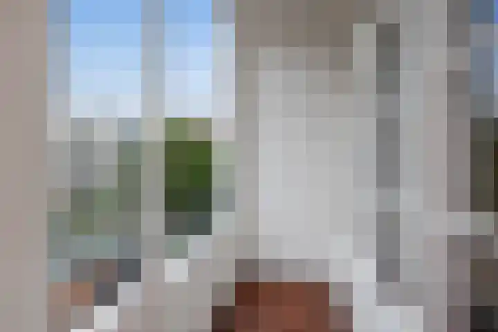 Ieplaan 28 Rijswijk thumbnail 16