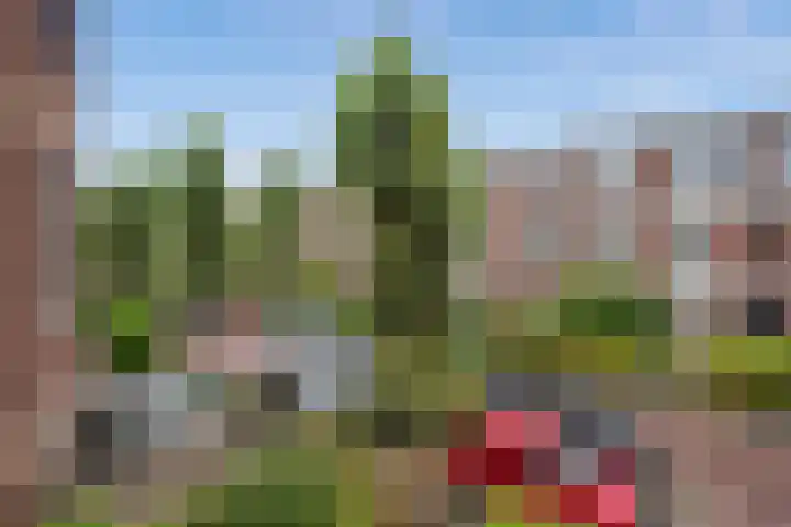Ieplaan 28 Rijswijk thumbnail 23