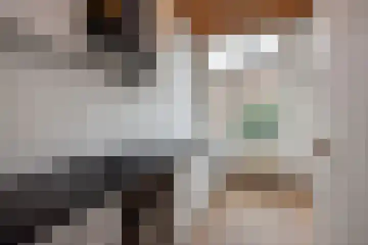 Ieplaan 28 Rijswijk thumbnail 4