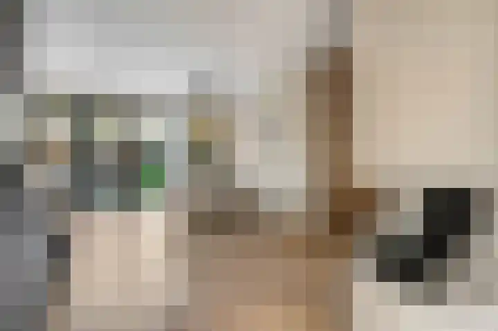 Ieplaan 3 Lunteren thumbnail 10