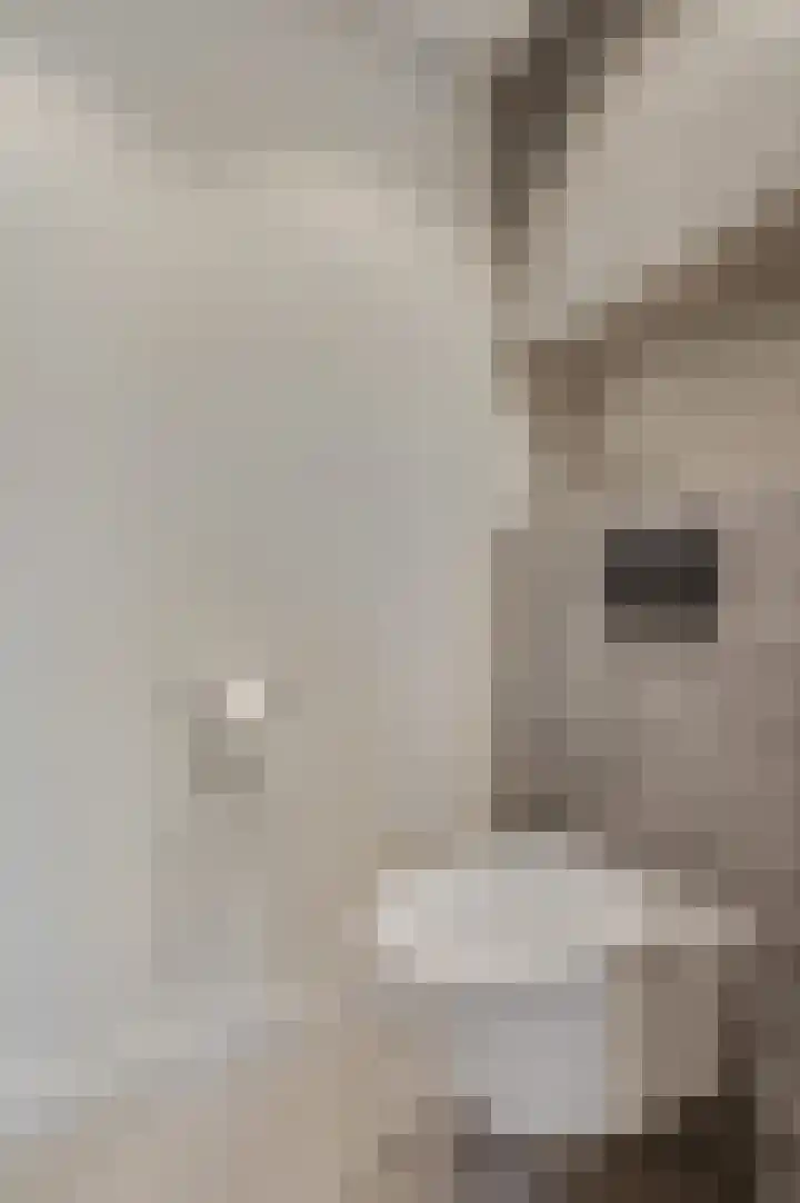 Ieplaan 3 Lunteren thumbnail 20