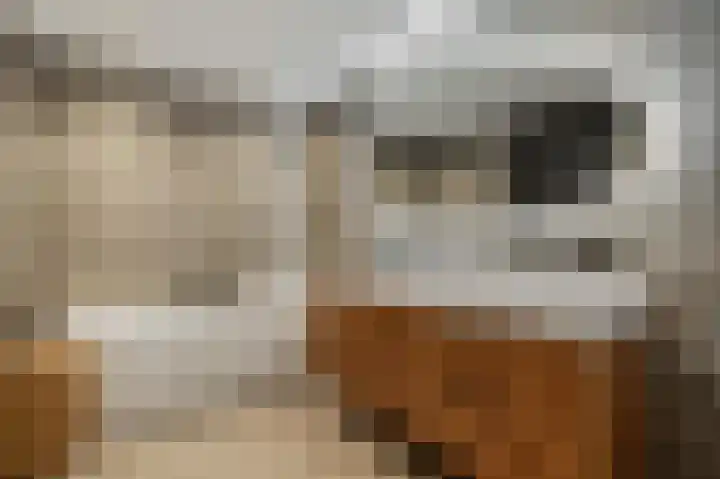 Ieplaan 3 Lunteren thumbnail 29