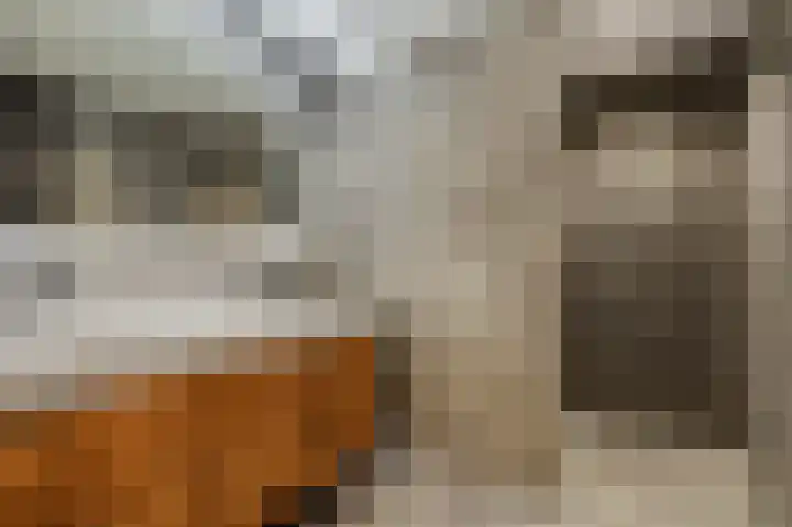 Ieplaan 3 Lunteren thumbnail 30
