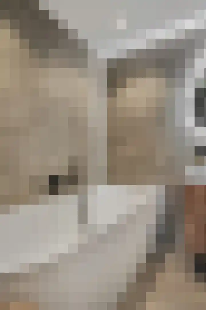 Ieplaan 3 Lunteren thumbnail 31