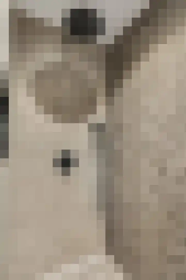 Ieplaan 3 Lunteren thumbnail 32
