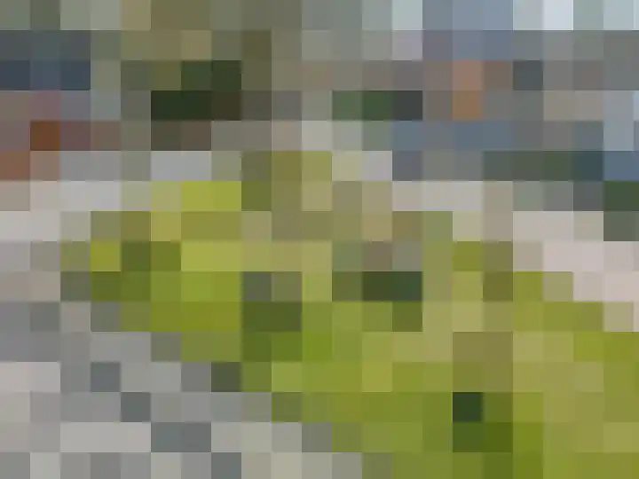 Ieplaan 3 Lunteren thumbnail 54